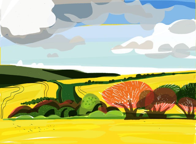 Illustration of rapeseed fields by Chloë King